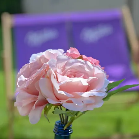 Blue With Free Parking *