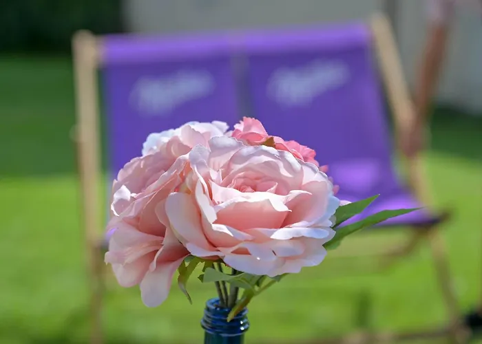 Blue With Free Parking *